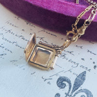 View of the locket open