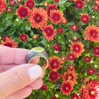 18k Gold Tungsten Metallo Peridot Ring, Size 6 3/4